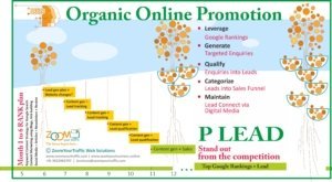 Online Promotion Programs For Businesses