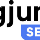 Big Jump SEO Solutions Partners with Three Major Insurance and Financial Education Platforms to Promote Public Insurance and Financial Literacy in Hong Kong through SEO and AI Content Strategies – Laotian Times