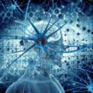 Don't Regulate Away Playing Field-Leveling AI – RealClearMarkets