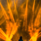 Google's March 2026 Core Update: What It Means for Music Discovery and Artist Visibility Online – AD HOC NEWS