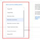 Google Ads appears to separate Target CPA and Target ROAS bidding strategies