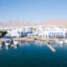 Ayla Oasis appoints Crowd as digital partner in Jordan – Campaign Middle East